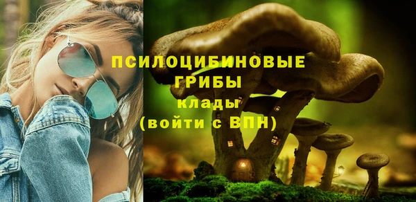 мескалин Баксан