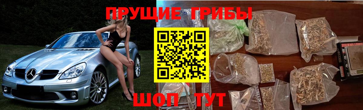 Псилоцибиновые грибы Psilocybe  Псилоцибиновые грибы мухоморы  Вход с VPN  Кунгур 